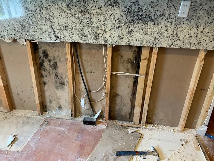 Instacure Mold Removal Picture 7