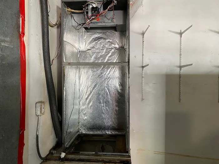 Instacure Mold Removal Picture 6