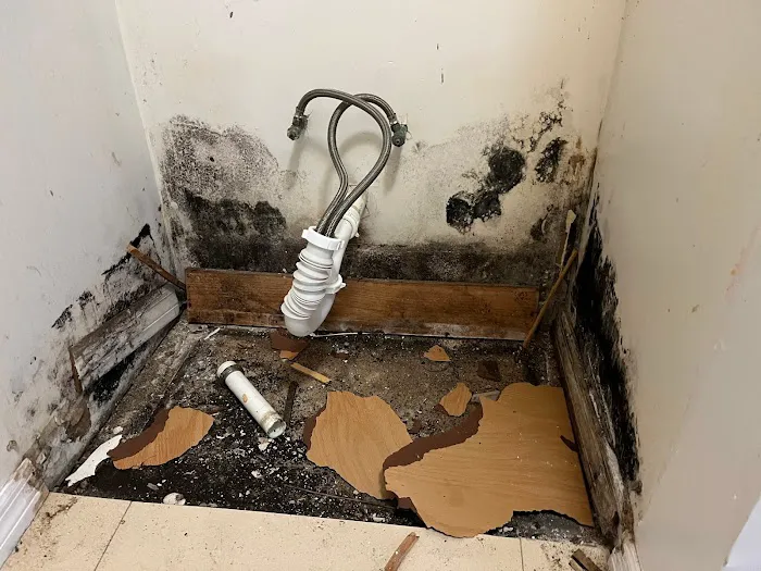 Instacure Mold Removal Picture 8