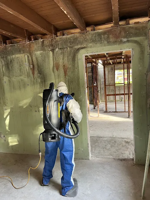 Instacure Mold Removal Picture 10