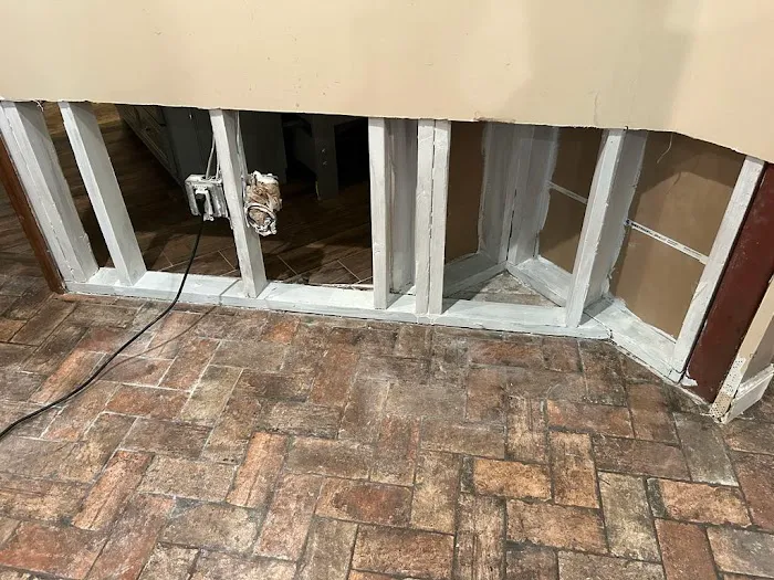 Dolphin Mold Removal Picture 3