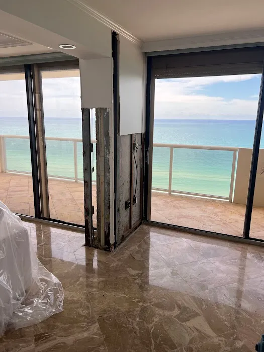 Dolphin Mold Removal Picture 1