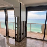 Dolphin Mold Removal ico