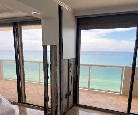 Dolphin Mold Removal