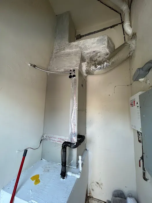 Dolphin Mold Removal Picture 5