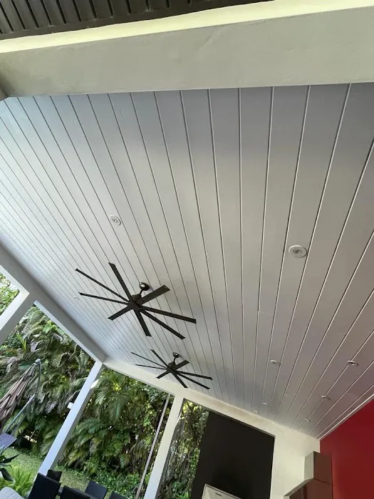 Dolphin Mold Removal Picture 8