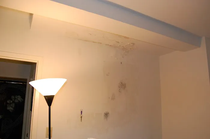 North Miami Beach Supreme Mold Removal Picture 2