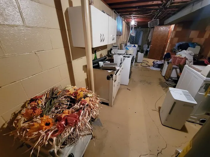 North Miami Beach Supreme Mold Removal Picture 3