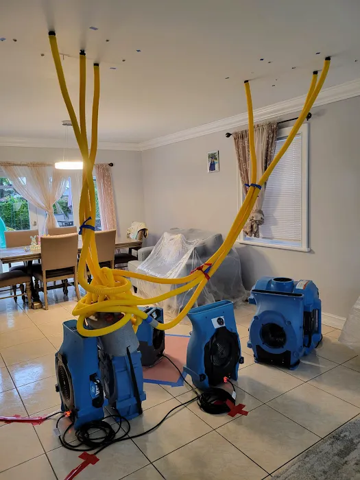 Rapid Response Restoration Picture 5