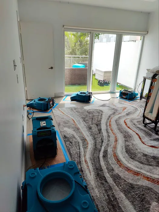 Rapid Response Restoration Picture 7