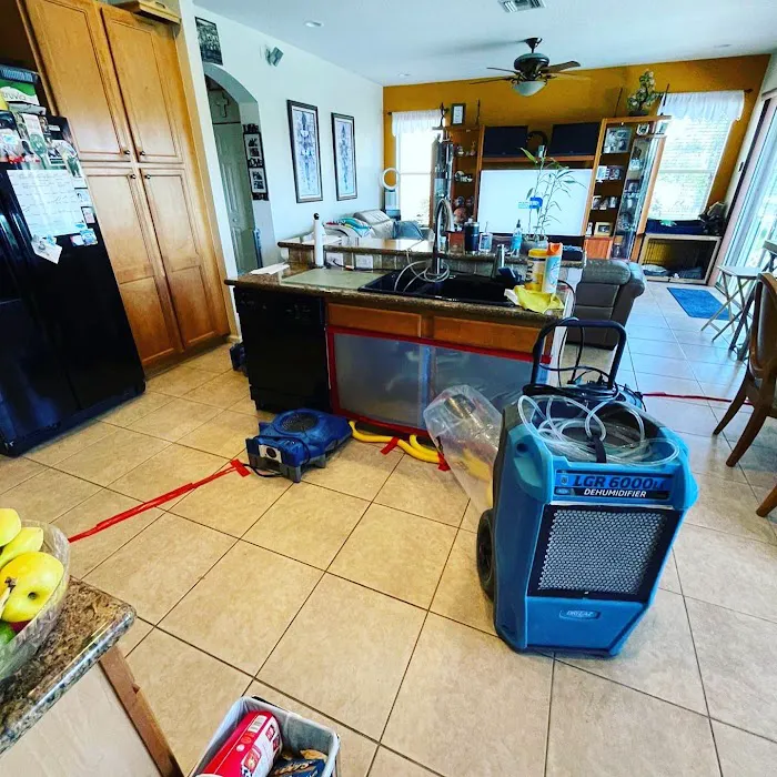 Rapid Response Restoration Picture 10