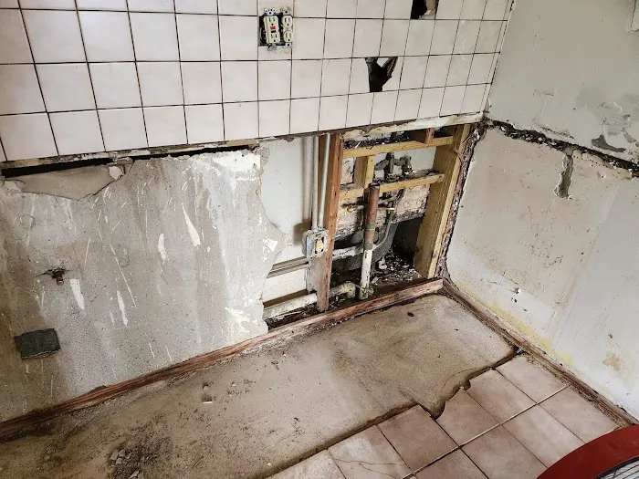 FPR RESTORATION Picture 2