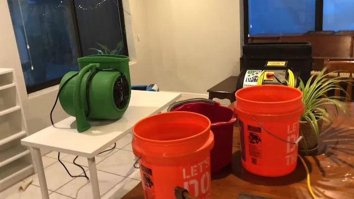 King Steam Restoration Picture 3