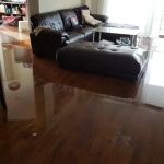 King Steam Restoration