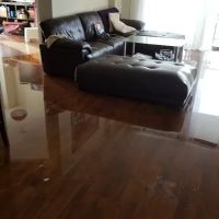 King Steam Restoration ico