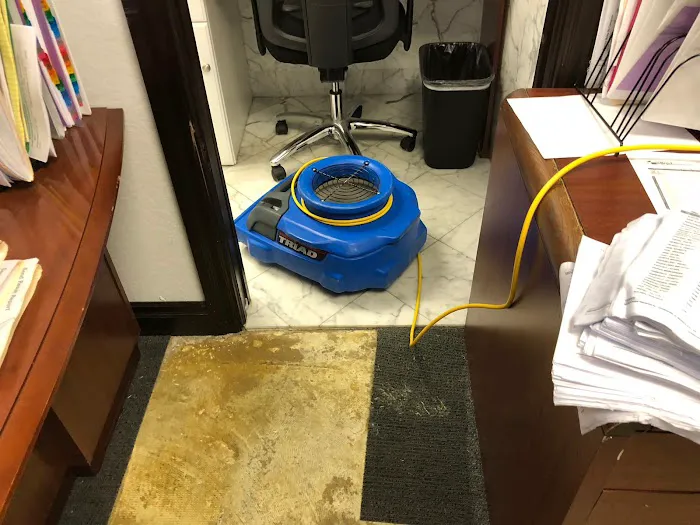 King Steam Restoration Picture 5