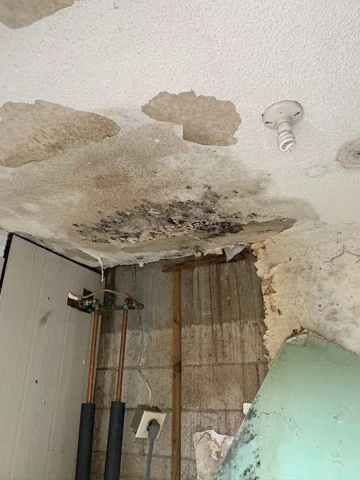 SafePro Restoration Picture 5