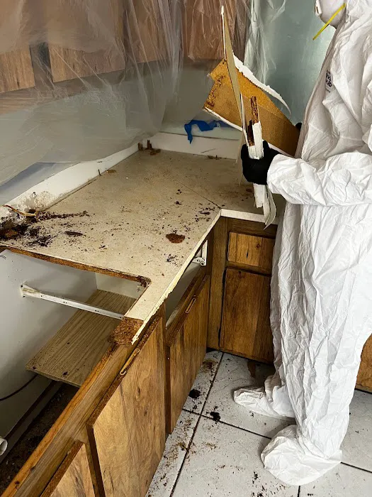 911 Mold Testing. Water and Mold Damage Remediation Picture 3