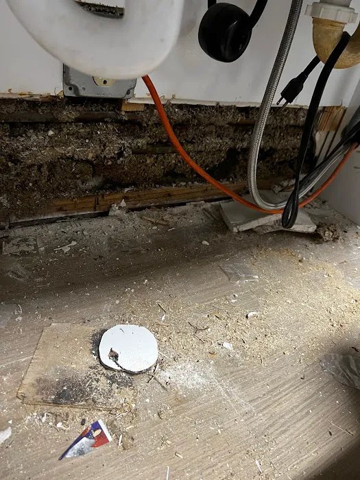 911 Mold Testing. Water and Mold Damage Remediation Picture 6