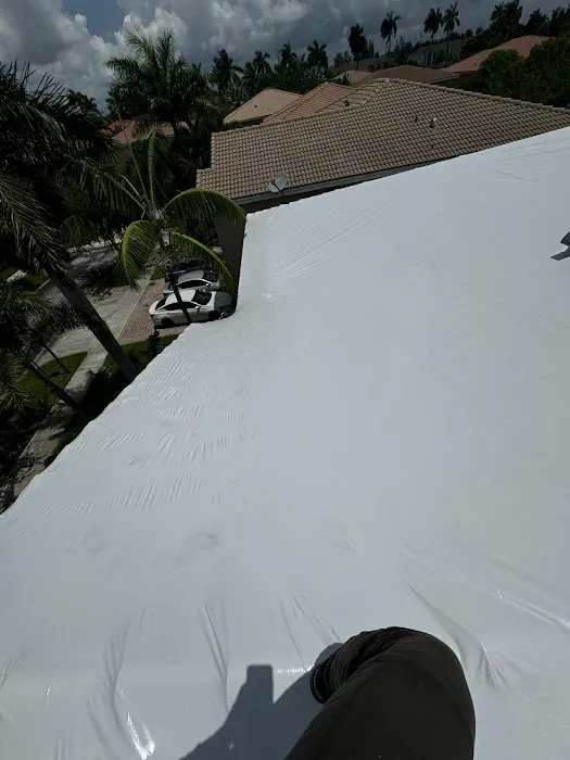 911 Mold Testing. Water and Mold Damage Remediation Picture 8