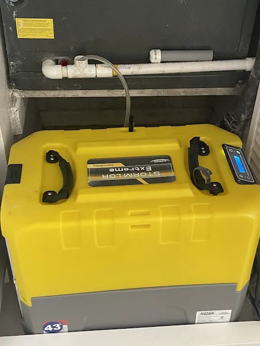 911 Mold Testing. Water and Mold Damage Remediation Picture 10