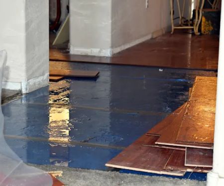 Certified Water Damage Restoration Hialeah