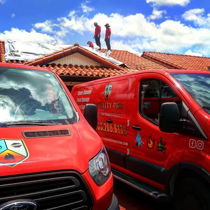 Casualty-Pro Restoration Picture 3