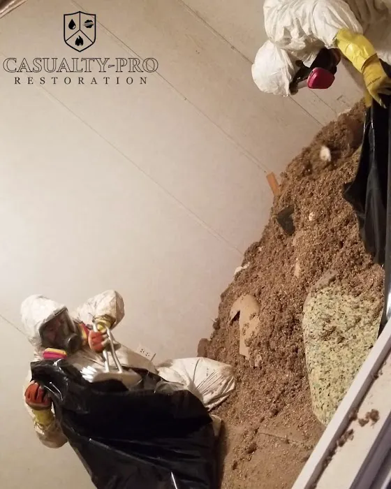 Casualty-Pro Restoration Picture 6