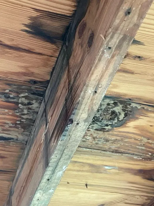 Casualty-Pro Restoration Picture 4