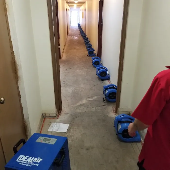 Casualty-Pro Restoration Picture 5