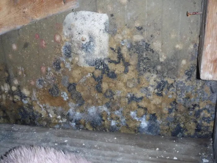 EM Restoration, Inc Picture 8