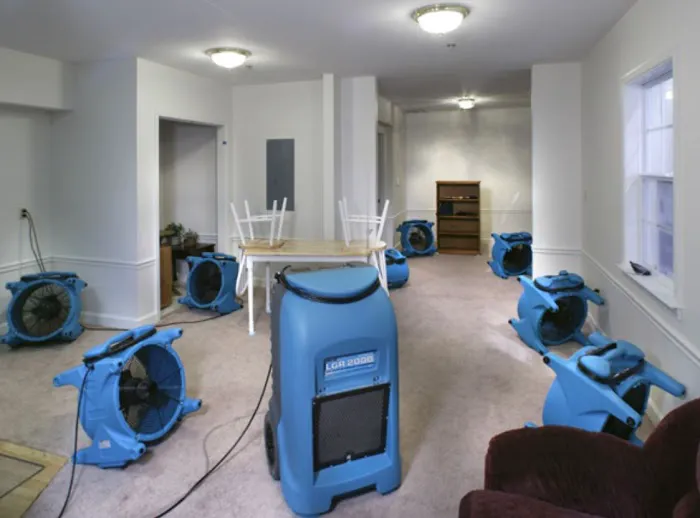 EM Restoration, Inc Picture 7