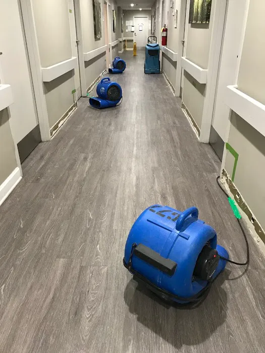 Water Resto USA Picture 6