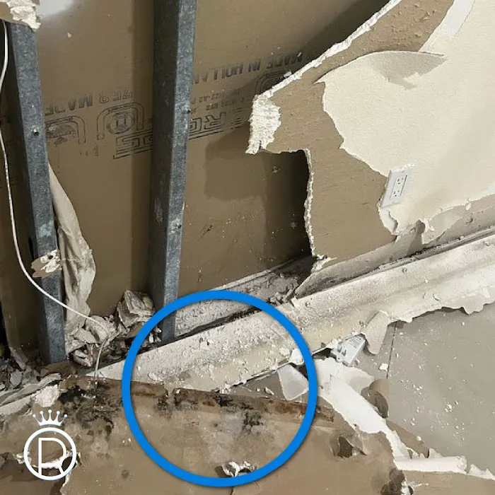 Royal Water Damage Picture 4