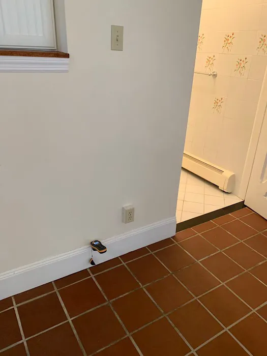 Prim Mold Cleaning Picture 3