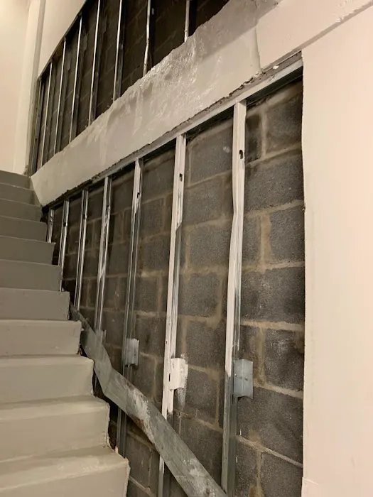 Prim Mold Cleaning Picture 2