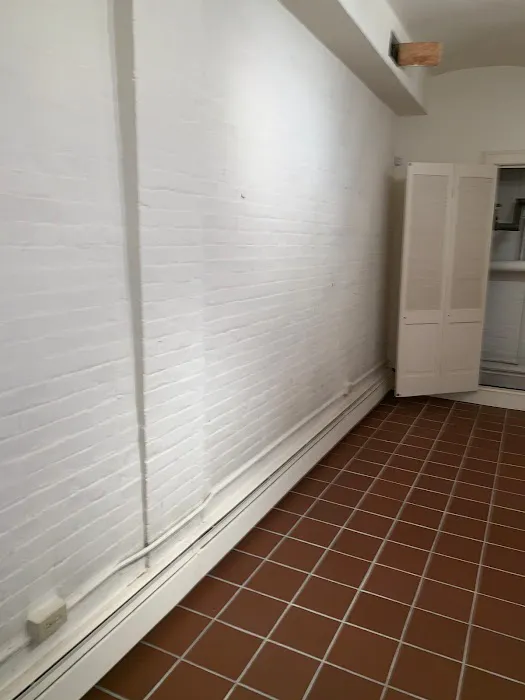 Prim Mold Cleaning Picture 1