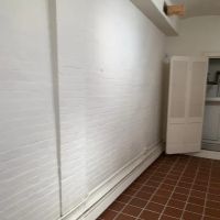 Prim Mold Cleaning ico