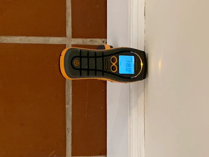 Prim Mold Cleaning Picture 6