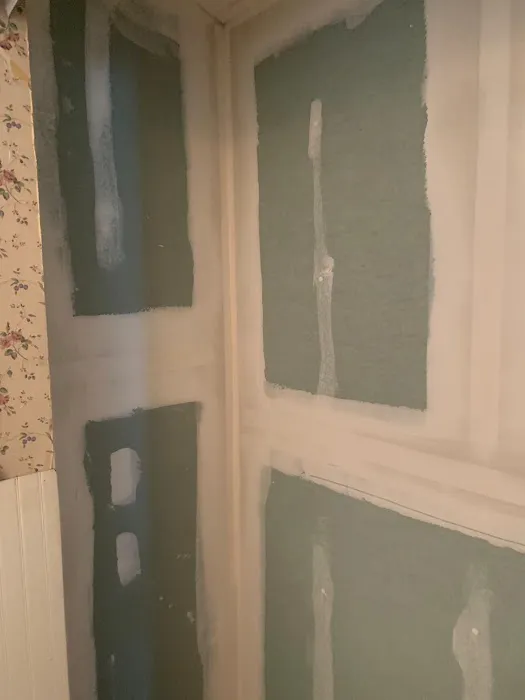 Prim Mold Cleaning Picture 4