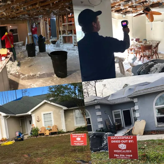 High Caliber Restoration Picture 3