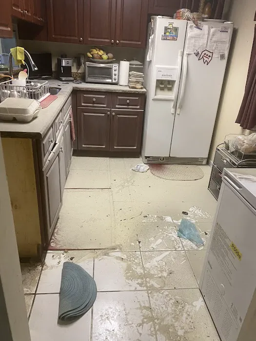 D&M Rapid Restoration Picture 2