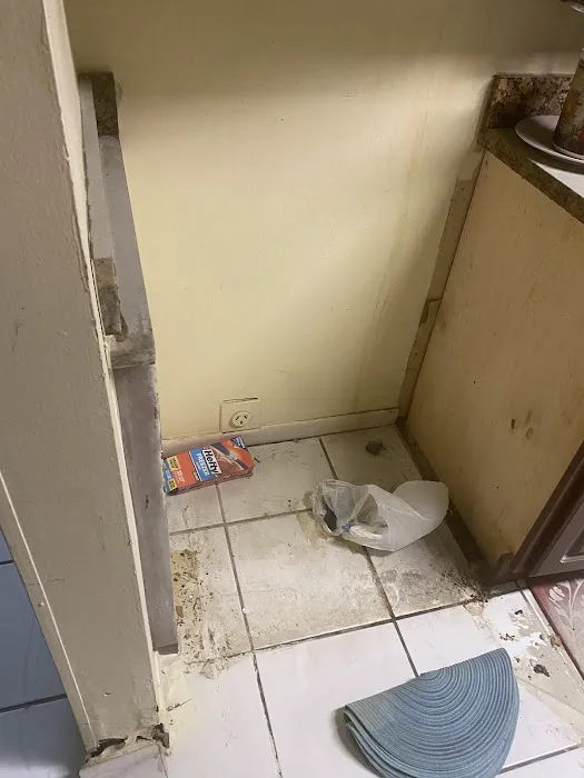 D&M Rapid Restoration Picture 5