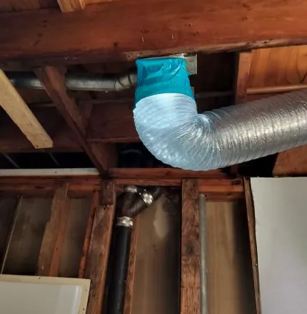 Mold Remediation Miami Elite Picture 8