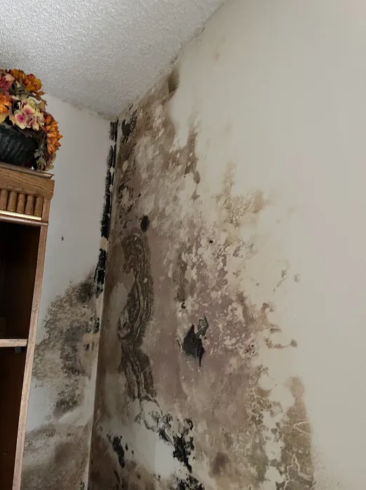 Aviva Restoration LLC Picture 2