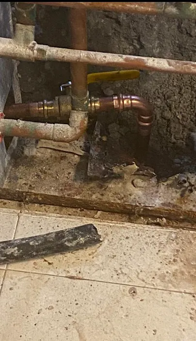 Aviva Restoration LLC Picture 8