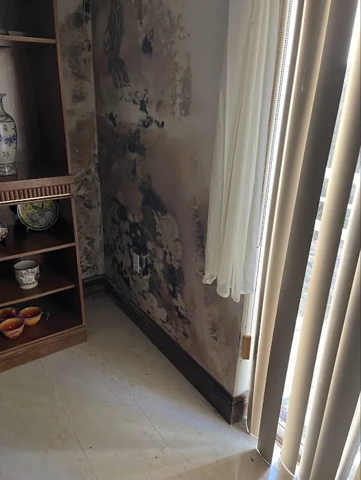 Aviva Restoration LLC Picture 10