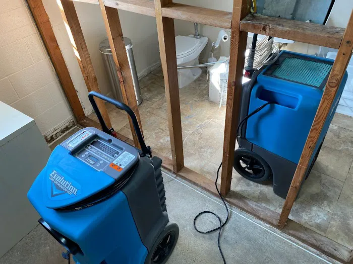 Swift Restoration Picture 3