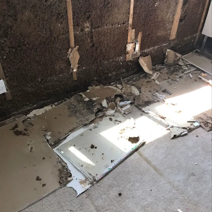 Swift Restoration Picture 6