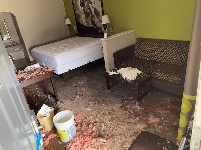 Swift Restoration Picture 7